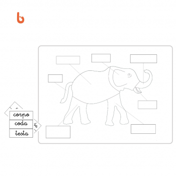 Nessuna immagine impostata 